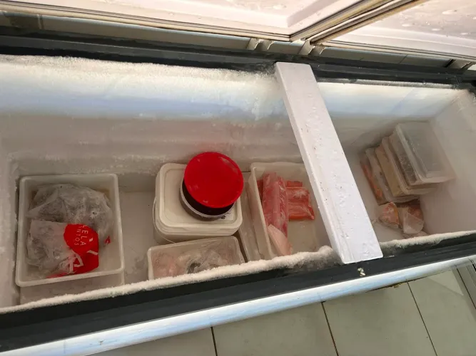freezer termisa horizontal