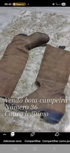 Bota campeira