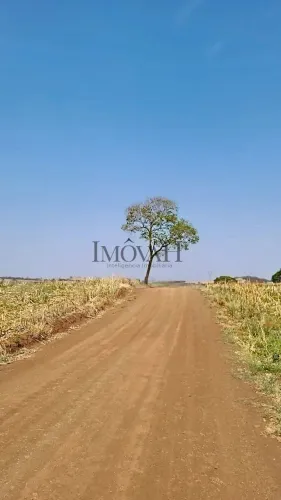 SÍTIO À VENDA EM URAÍ - PR | 4 ALQUEIRES DE TERRA ROXA | INVESTIMENTO AGRO 2026