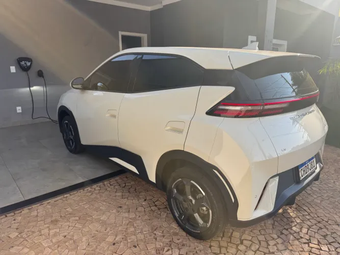 BYD Dolphin Mini (Elétrico) 2024