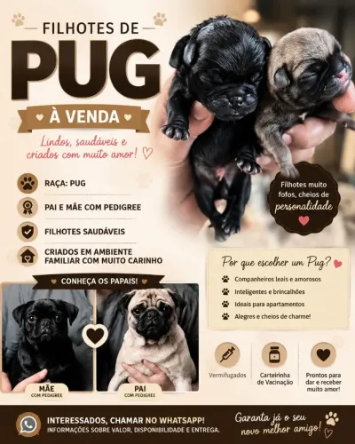Pug