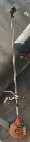 Vendo ou troco por porco galinha o carneiro.
