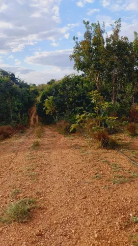 Oportunidade terreno