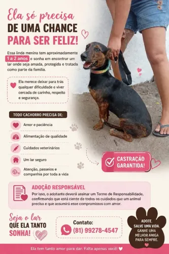 Linda menina pra adoção