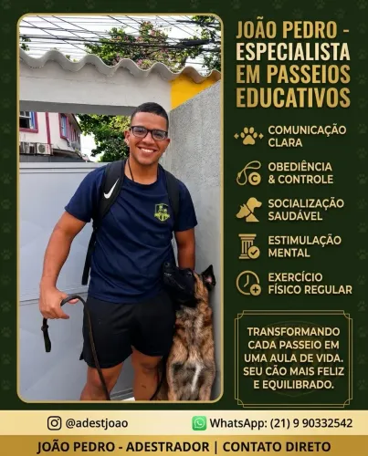 Dogwalker 