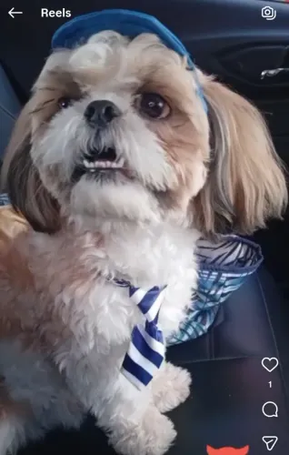 Procura se enamorada