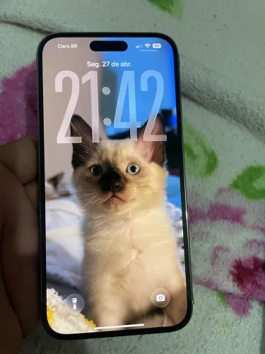 iPhone 14 Pro Max V/T