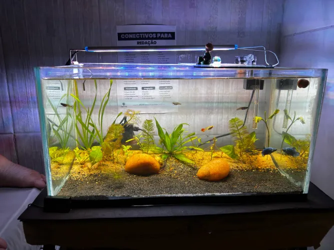 AQUARIO