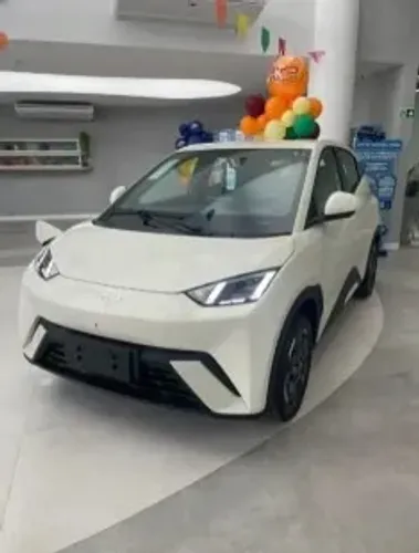 BYD Dolphin Mini (Elétrico) 2027