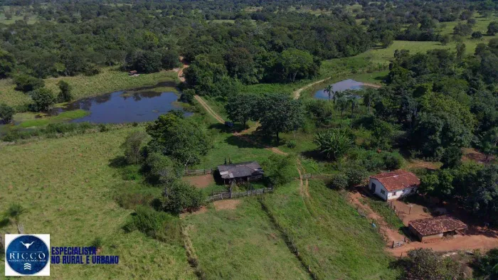 Fazenda à Venda em Israelândia - GO | 40 Alqueires | Toda Formada