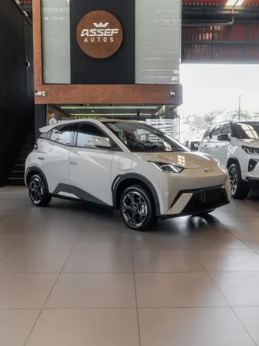 BYD Dolphin Mini GL 2027