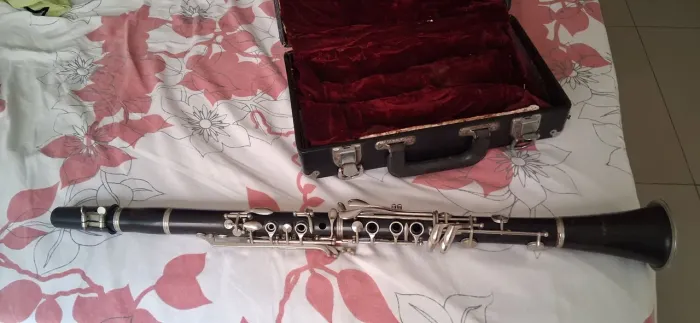 Clarineta Minami Wind