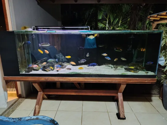 Aquário jumbo 2,20m