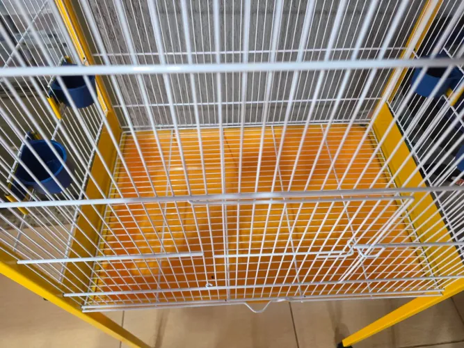 Viveiro novo para aves