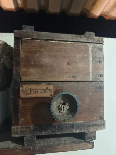 Caixa de Jandaíra 