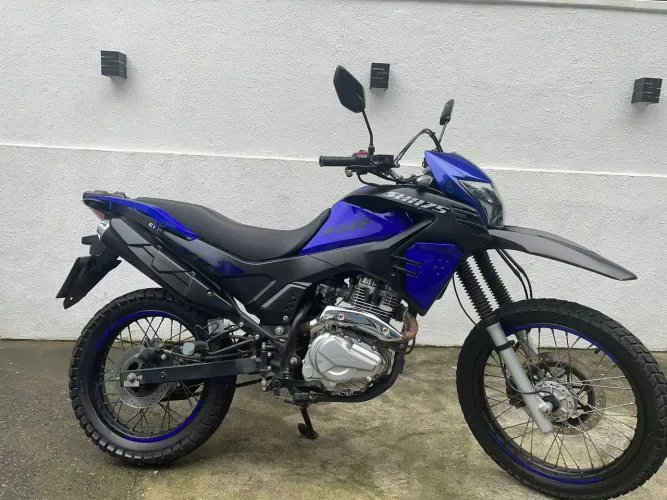 Shi175