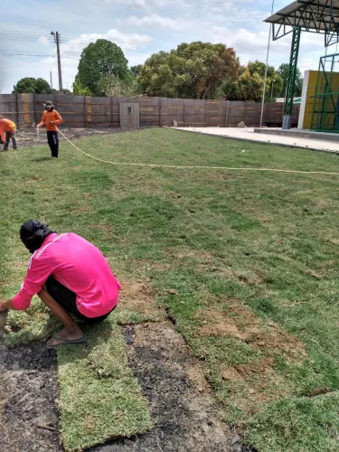 Grama Paisagismo Jardinagem Manutenção