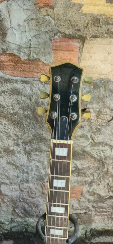 guitarra strinberg Les paul Com Malagoli