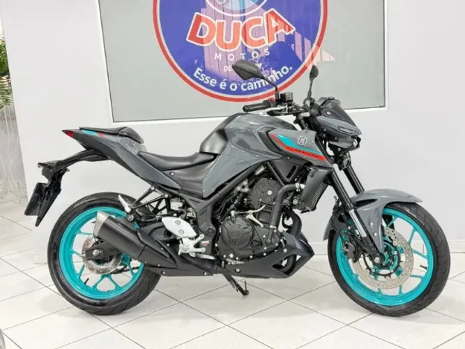 mt 03 2024 cinza