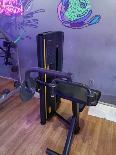 Triceps máquina movement