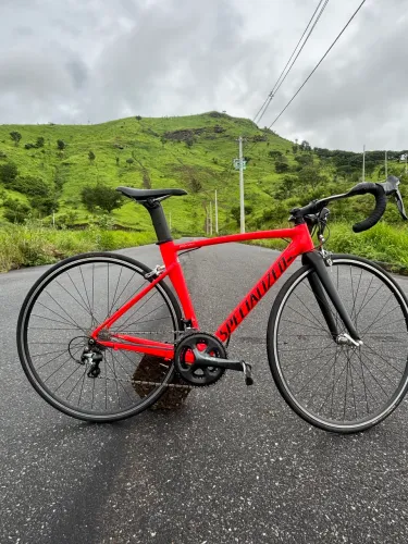 Bike Speed Specialized
