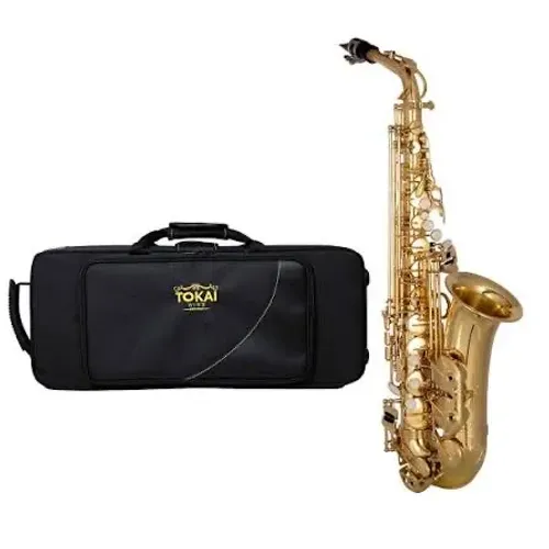 Saxofone alto em perfeita condições