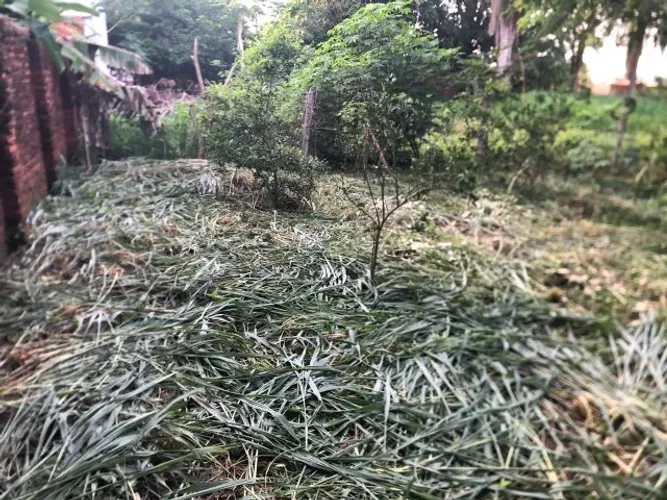 Lote situado entre a Avenida Nossa Senhora de Fátima e a Rua Esmeralda, Tocantinopolis-TO
