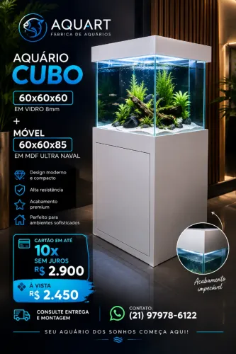 Aquário Cubo 60x60x60 em vidro 8mm