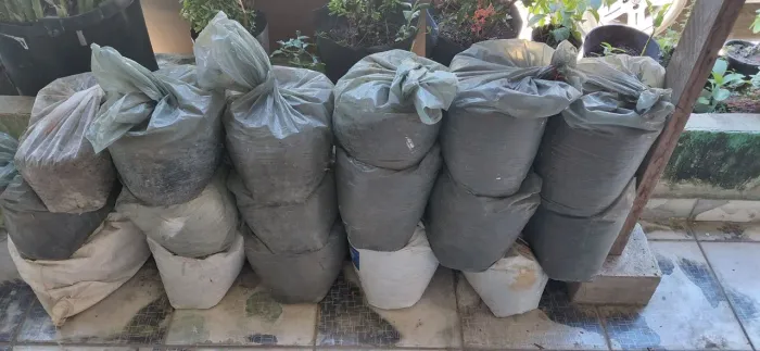 Adubos e Plantas