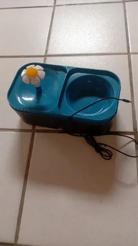 Esse é um chafariz pra gato