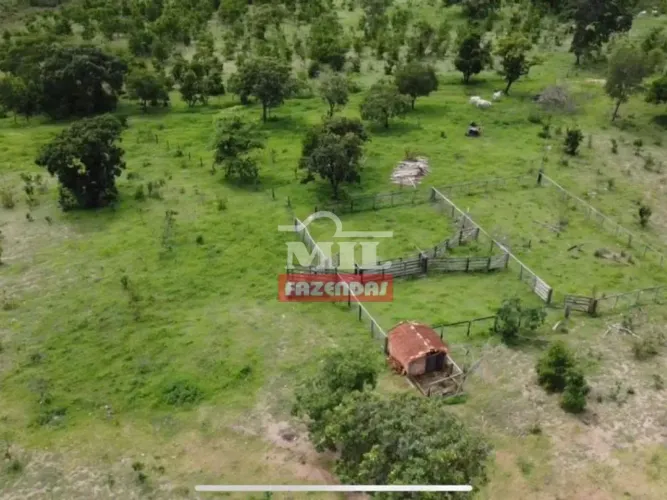 Fazenda 43,5 alqueires (210,54 hectares) Aragupaz - GO