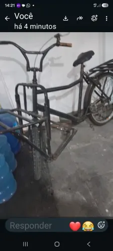 Bicicleta cargueira