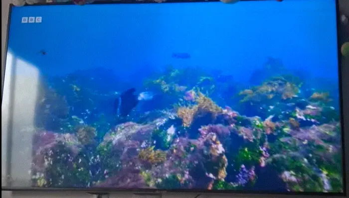 TV SAMSUNG 65 POLEGADAS COM DEFEITO
