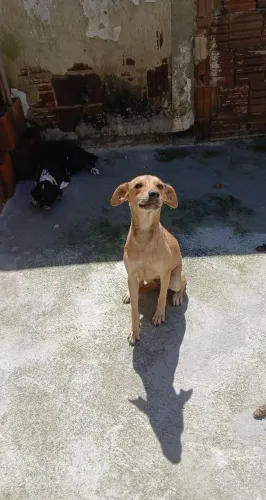 Doação 
