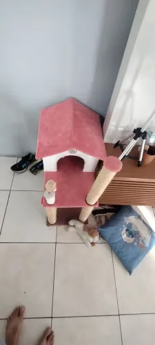Casa de gato. 