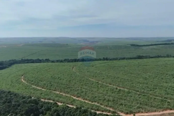 Fazenda à Venda em Pederneiras SP | 98 Alqueires Agrícolas com Alta Aptidão Produtiva e Ex