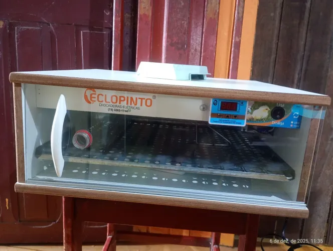 Chocadeira eclopinto