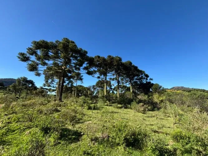 Chácaras em Urubici/SC - 2 Hectares com Escritura Pública!