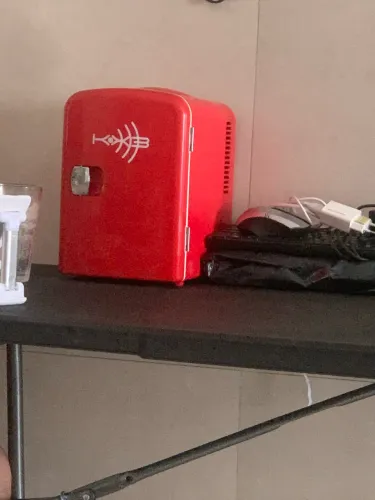 Geladeira para carro