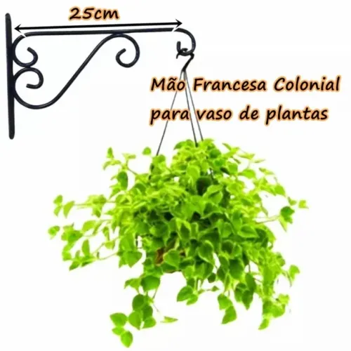 Suporte para roseira suspenso