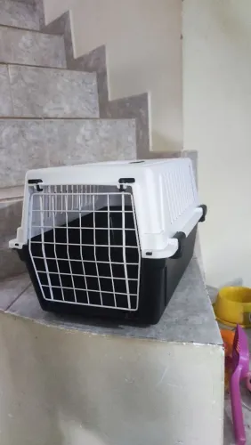 Caixa transporte Para Gatos e Cães Cachorro marca Ferplast 