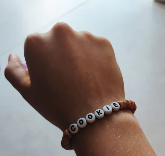 1 pulseirinha "cookie"