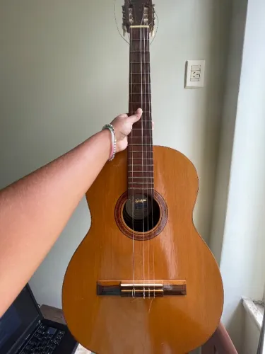 Violão Raro 1991 Di Giorgio Amazônia N30