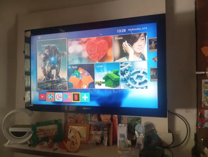 Tv Sony retirada samambaia