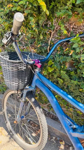 bicicleta aro 26