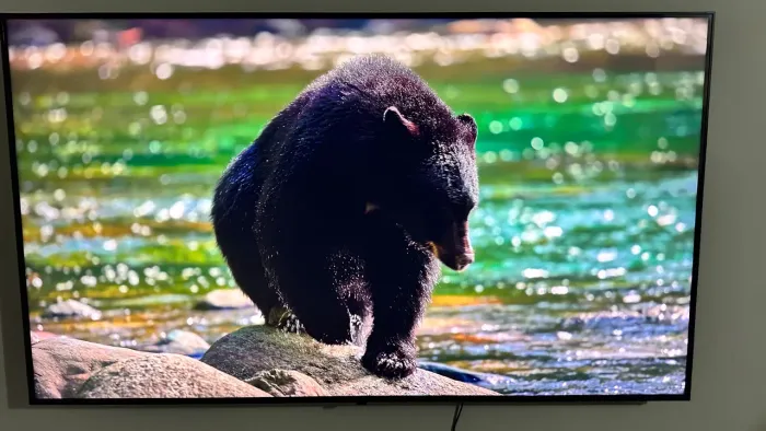 Smart TV LG 65? 4K UHD HDR ThinQ AI
