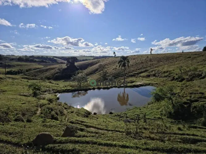 Excelente Fazenda à venda em Itapetininga - R$ 9.600.000 - Zona Rural - Itapetininga/SP