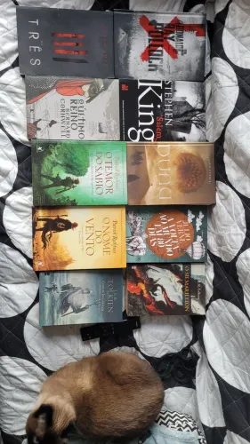 Livros diversos (Stephen King, Lovecraft, Robin Robin e etc)