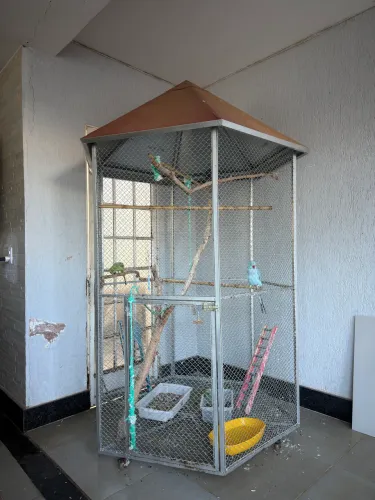 Vende-se Viveiro Grande