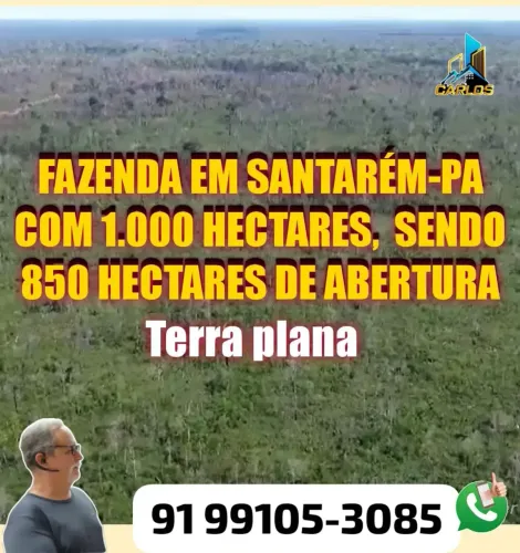 Fazenda para venda tem 1.000 hectares, terra plana em Mapiri - Santarém - PA